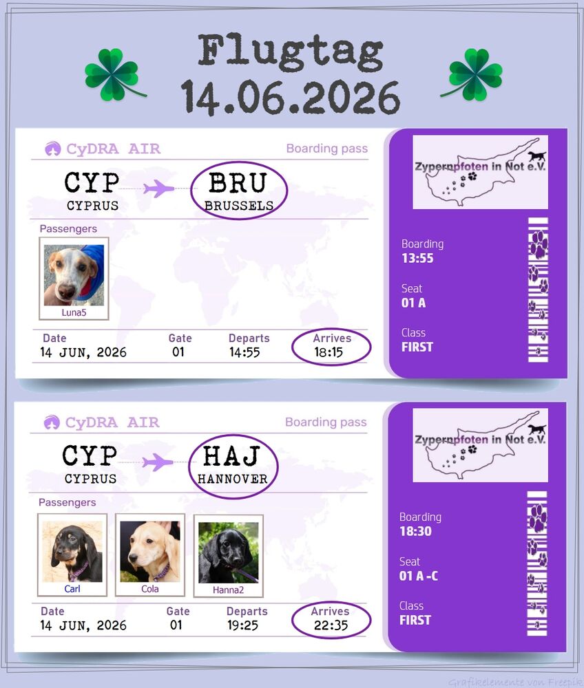29 04 24 HH
