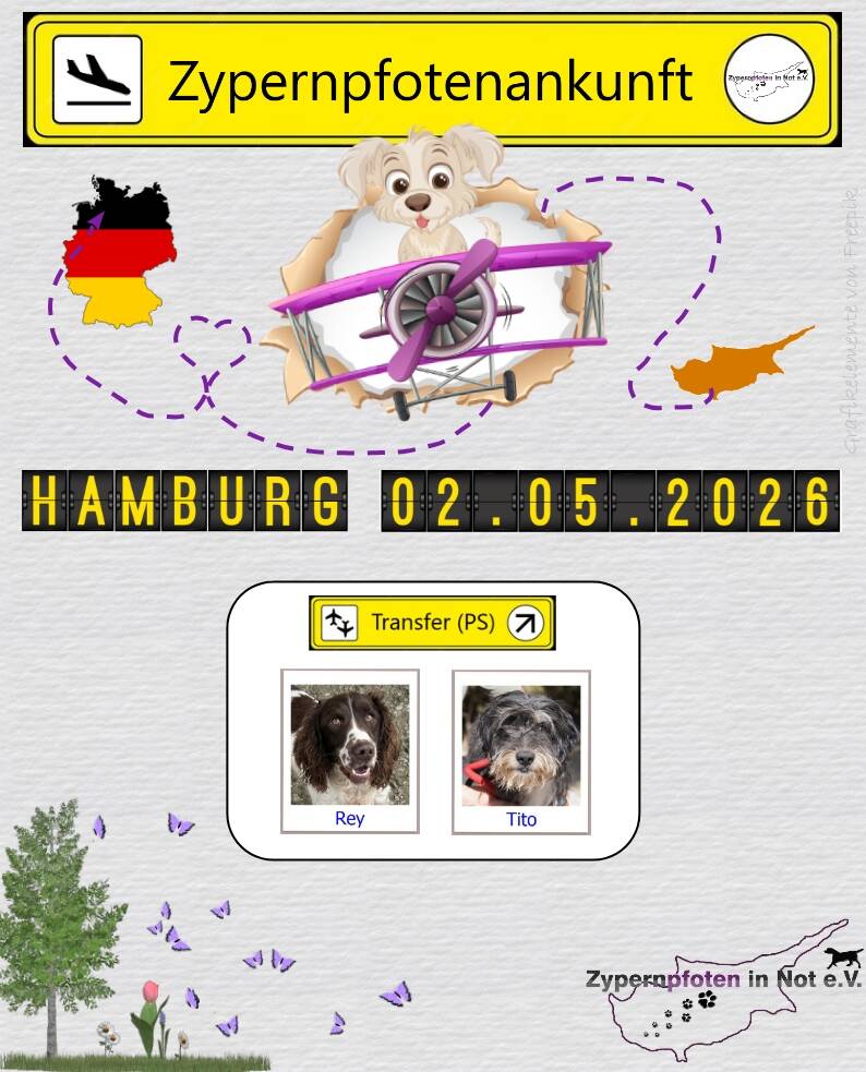 Ankunftsbericht 06.02.26