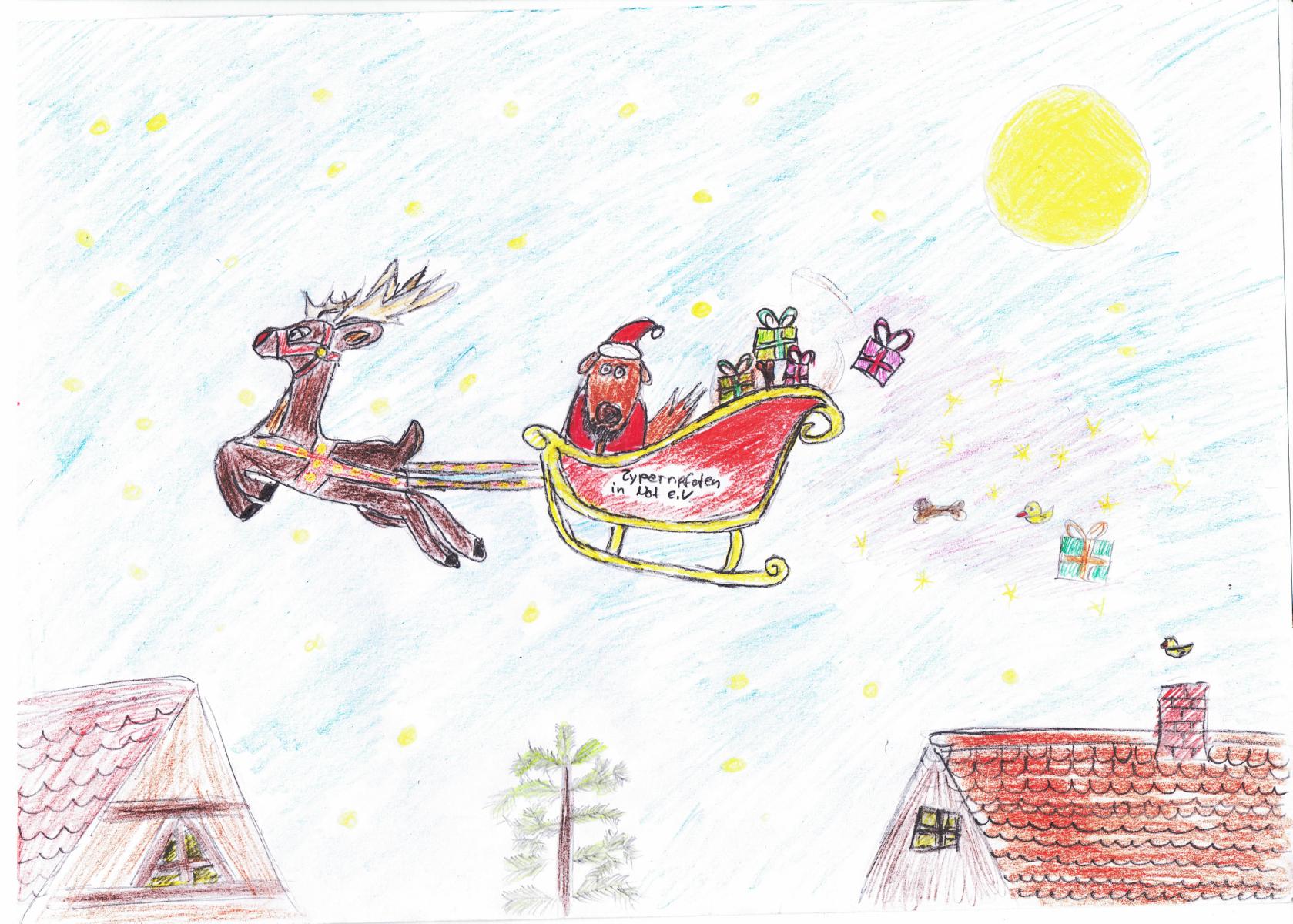 Bild Zypernpfoten Weihnachten 24112016