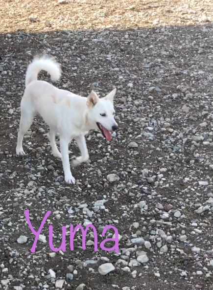 Julia 06