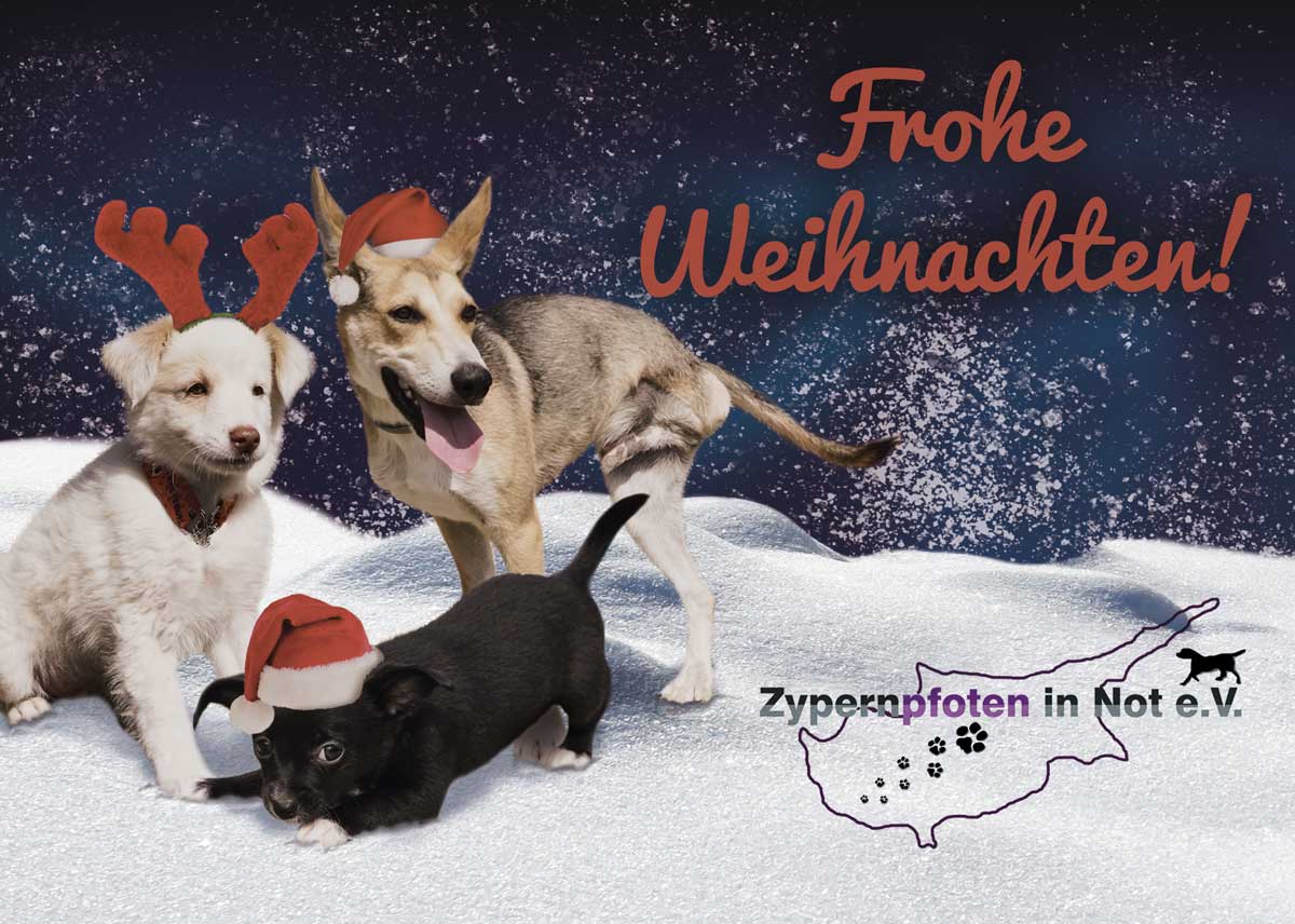 weihnachtskarte2017 fb