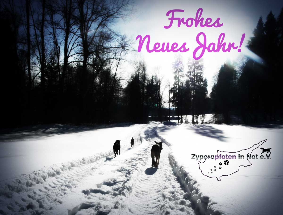 frohesneues2018