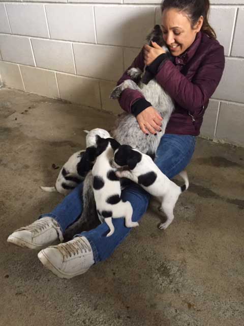 Pebbles Nachwuchs Tierheim 2x