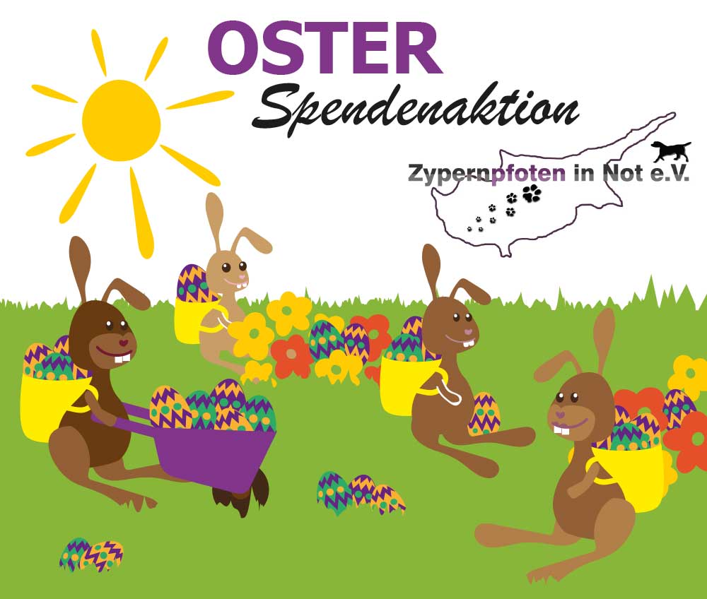 Osterspenden-Aktion der Zypernpfoten in Not e.V. im Jahr 2019