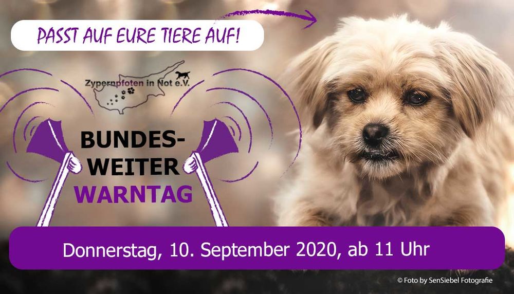 Passt auf eure Hunde auf!