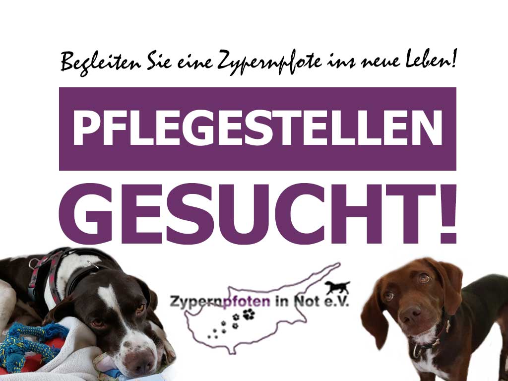 PS SIE
