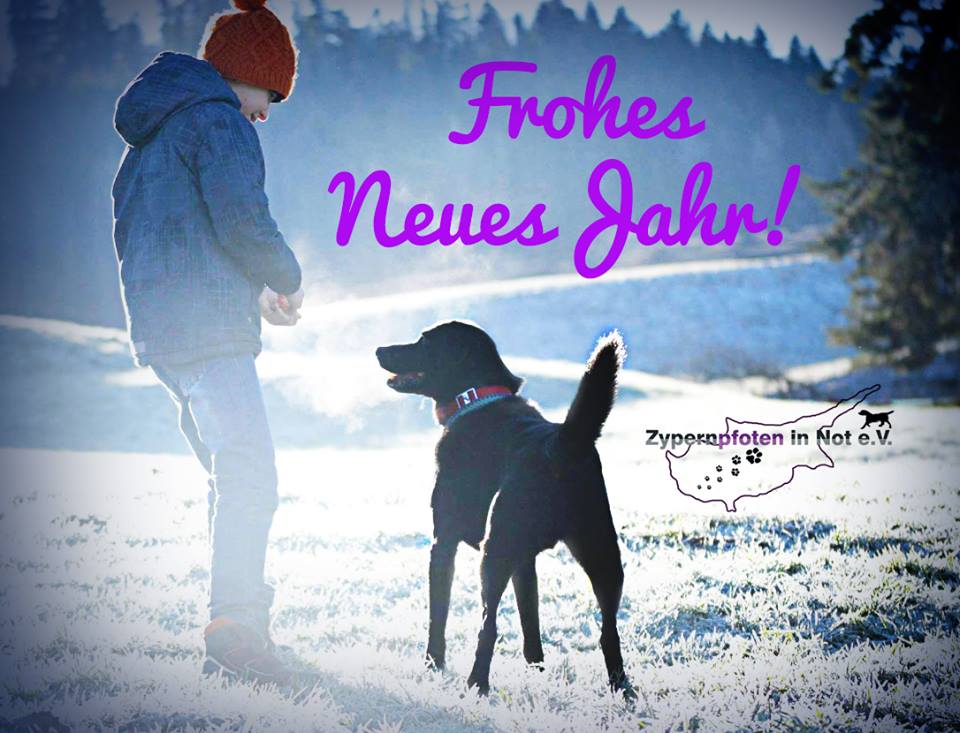 Frohes Neues 2019