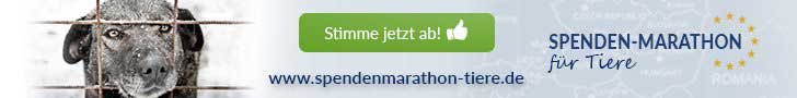 Abstimmung Spenden Marathon 2018