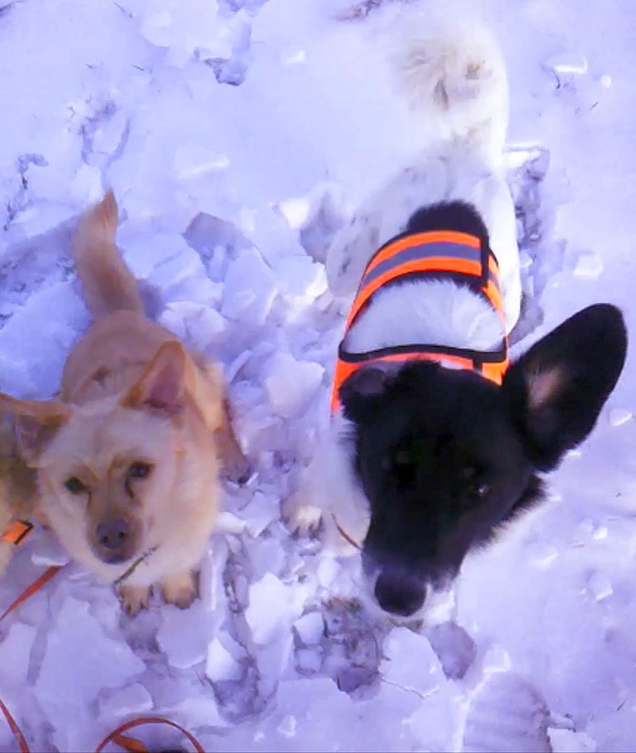 Terry und Nounou 01