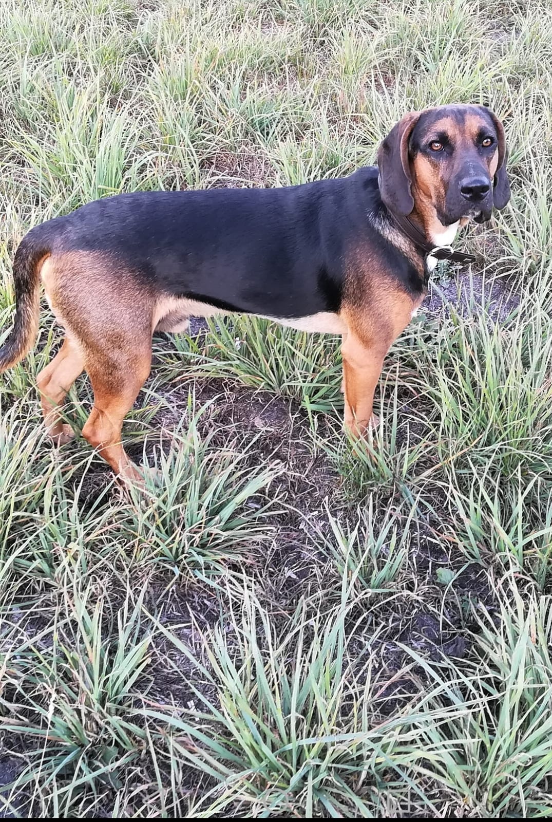 IMG 20181003 WA0013