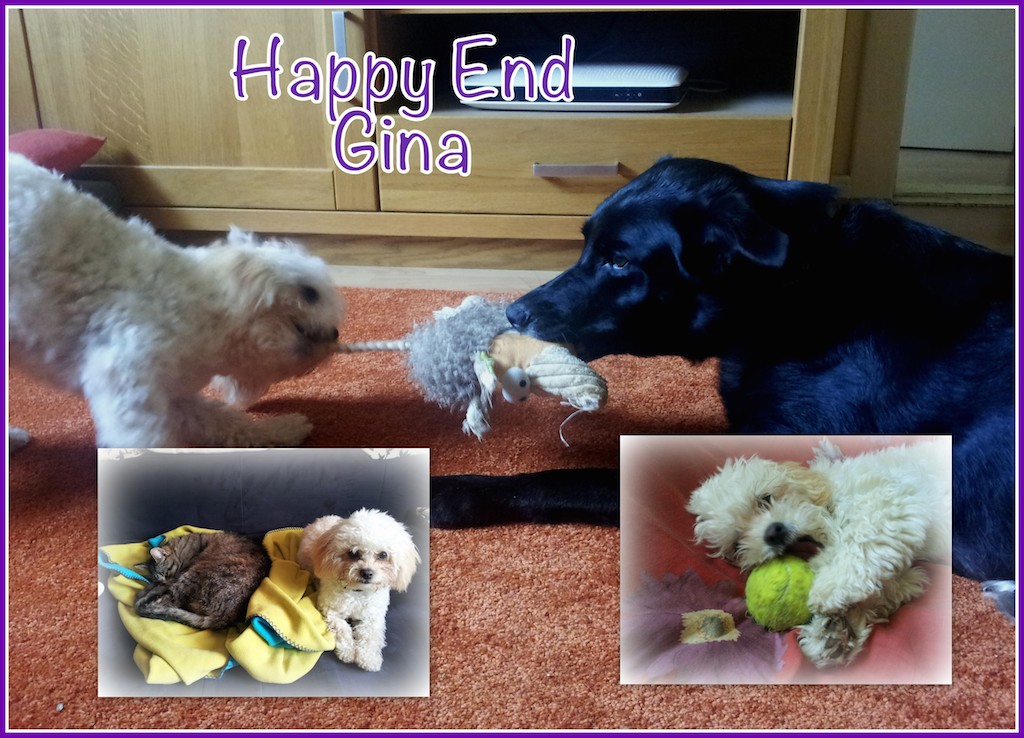 Gina HappyEnd