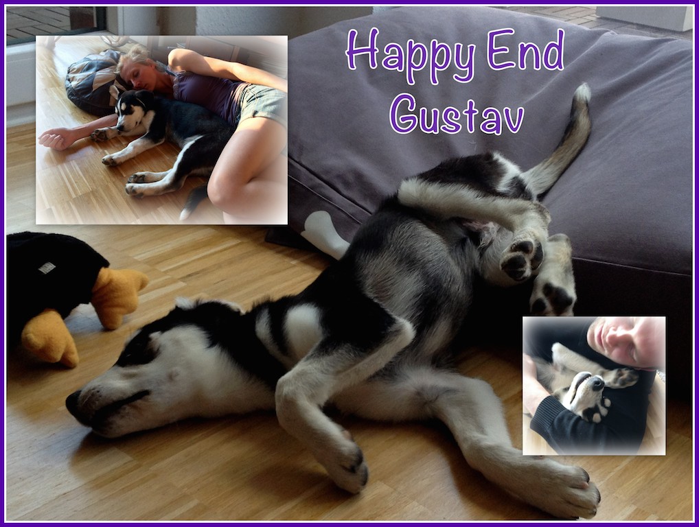 HappyEnd Gustav