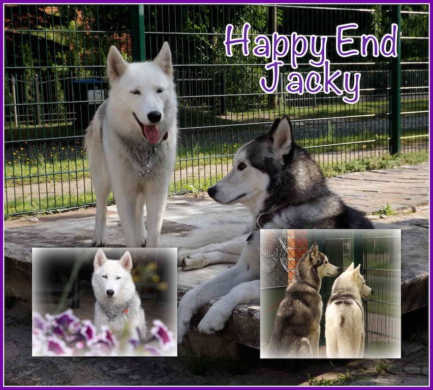 Jacky HappyEnd