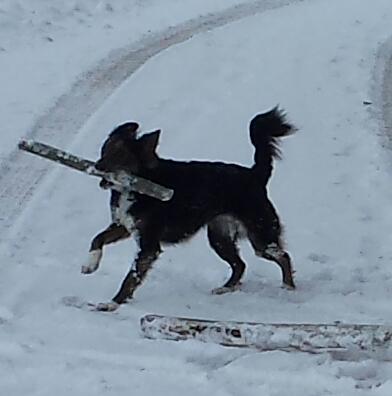 Bild5