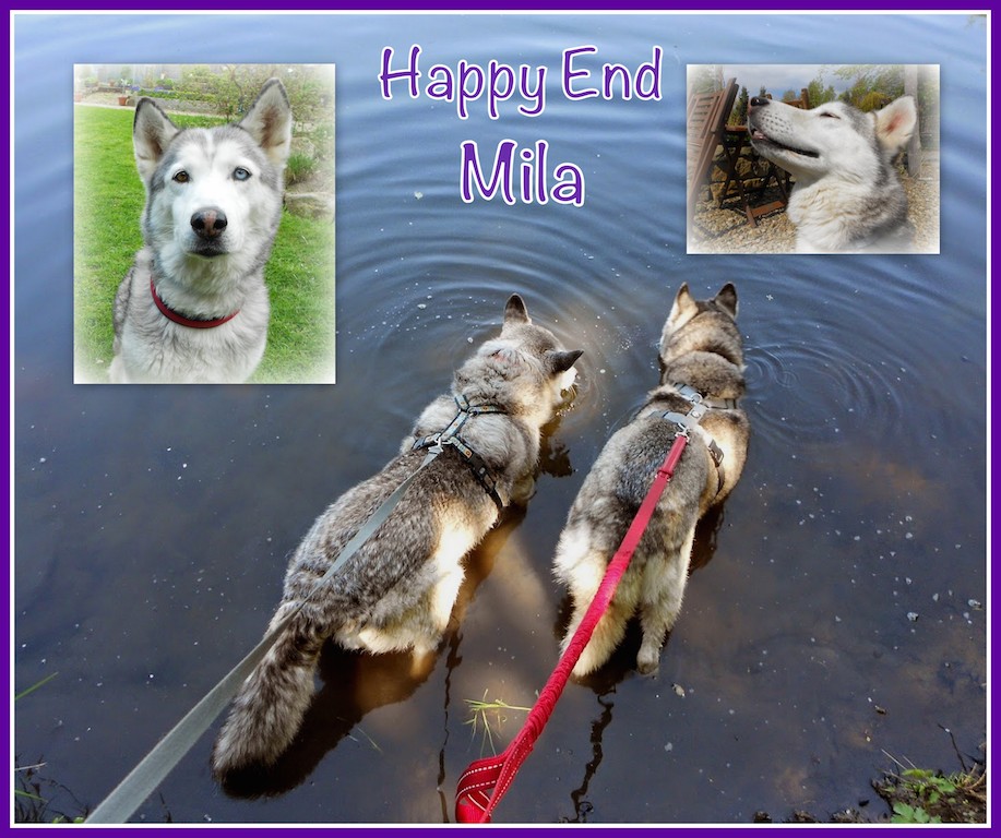 HappyEnd Mila