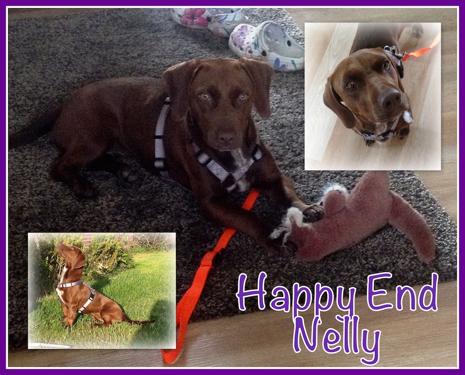HappyEnd Nelly