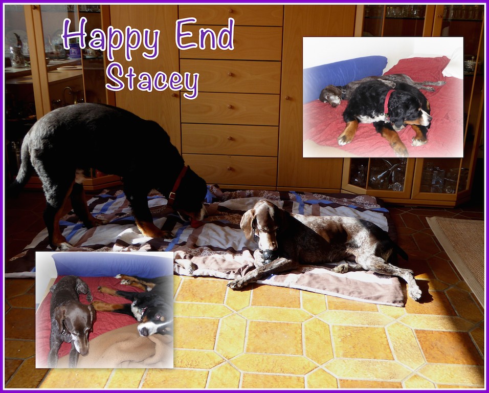 HappyEnd Stacey