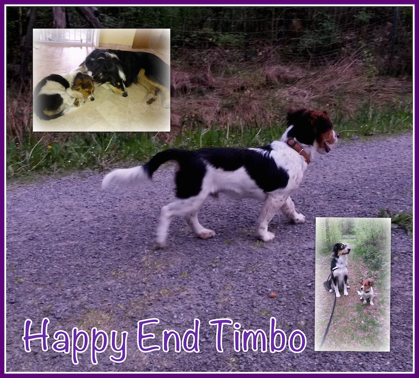 HappyEnd Timbo