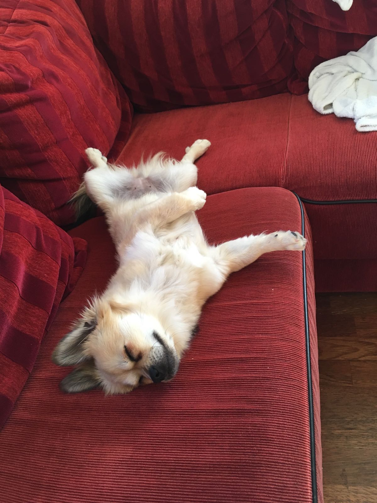 Emmi Couch