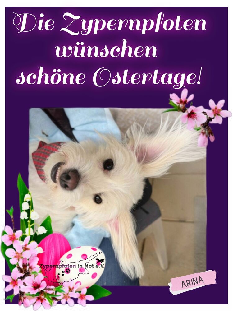 WhatsApp Bild 2023 04 07 um 19.22.02