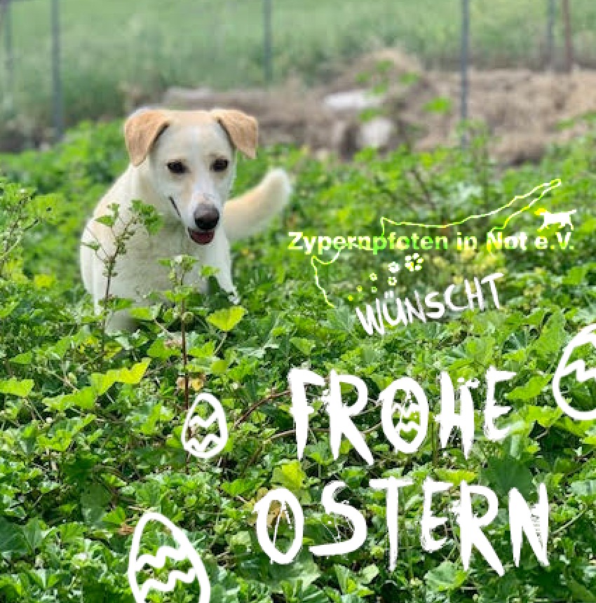 ostern2020