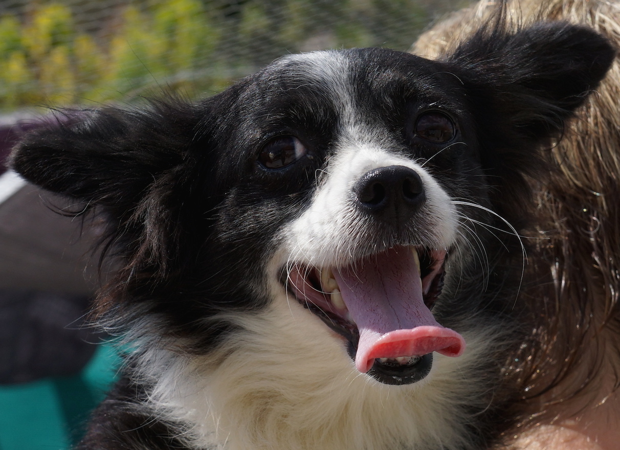 BonnyProfil