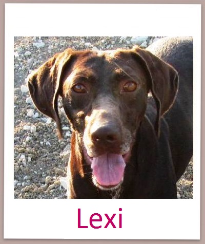 Lexi prof