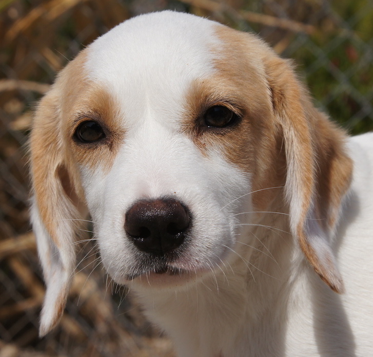 LolaProfil