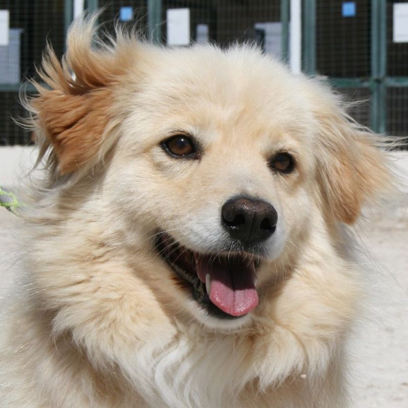Rocky-Neu-Profil