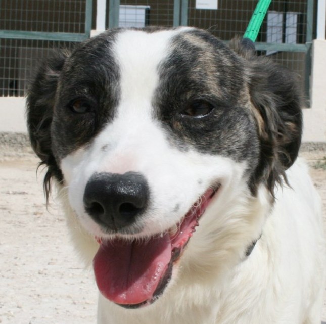 Stacey3Profil