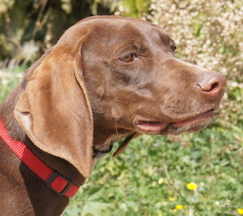 ZoeneuProfil