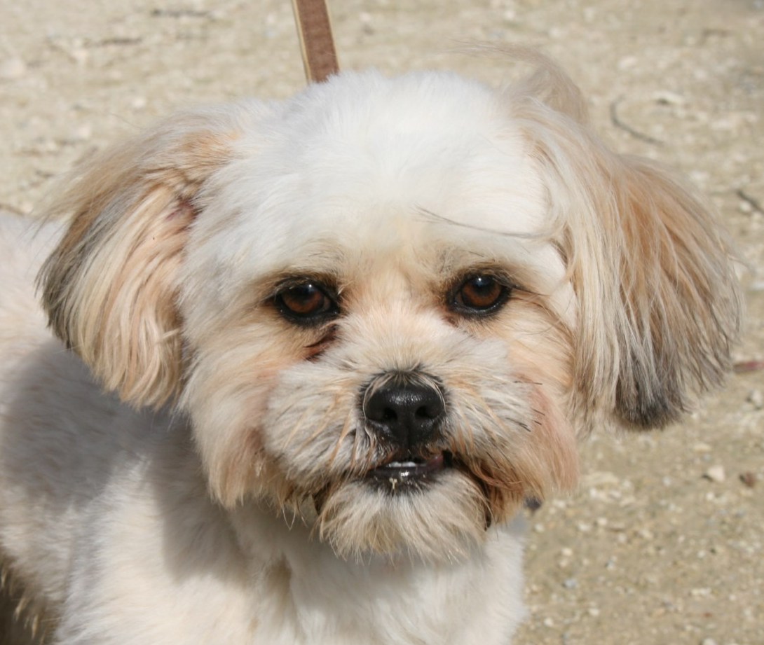 FloydProfil