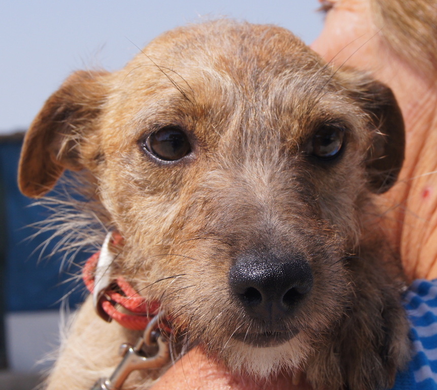 Gina2Profil
