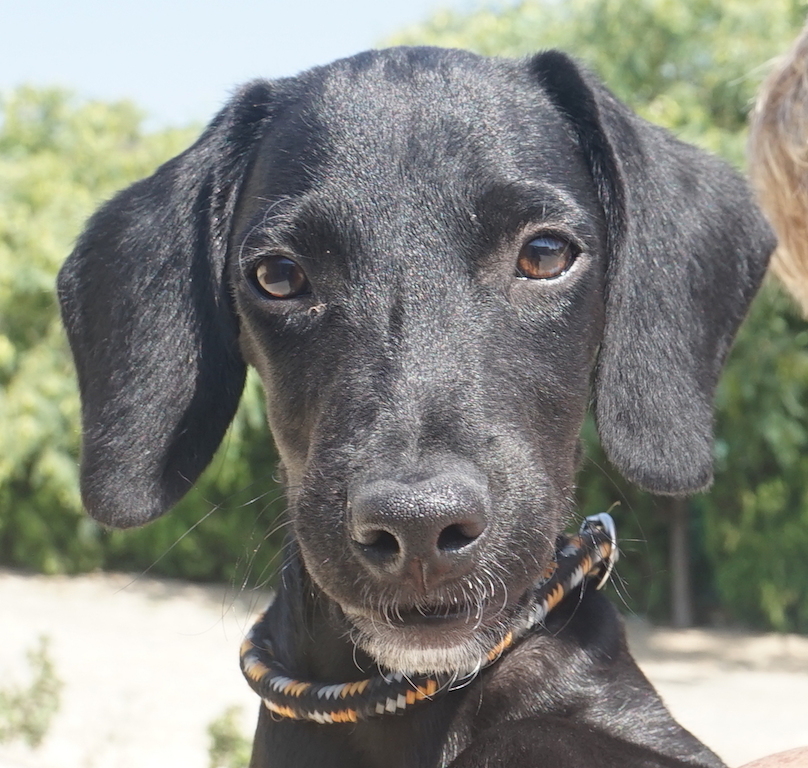 Jasper2 Profil