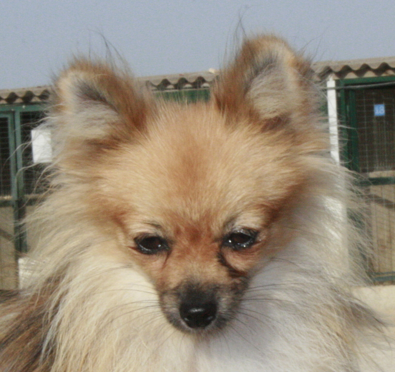 MoundyProfil