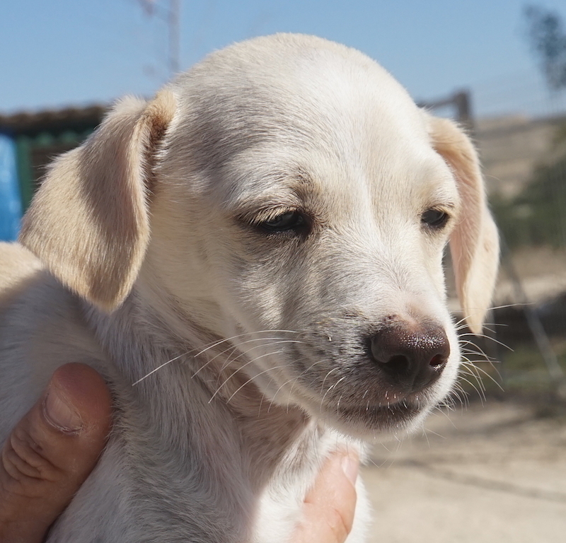 TobyProfil
