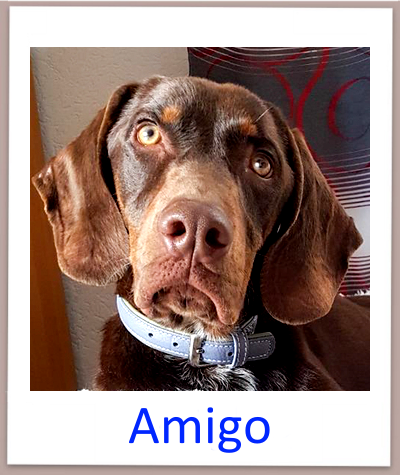 Amigo prof neu