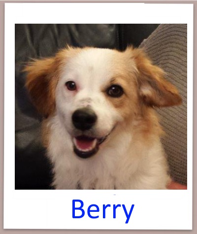 Berry prof