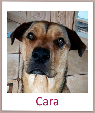 Caraprof