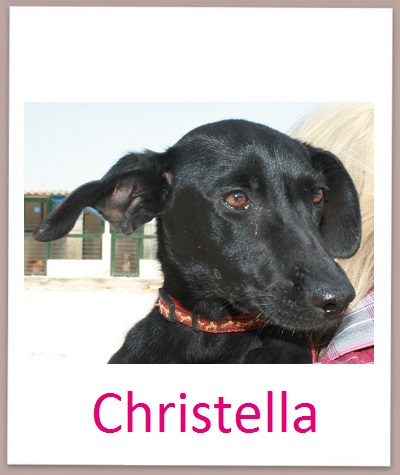 Christella prof