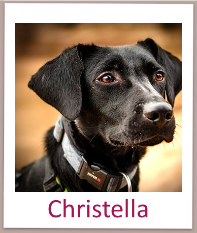 Christella prof2