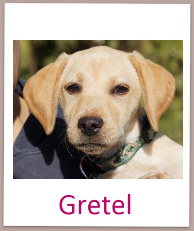 Gretel prof