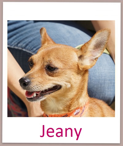 Jeany prof