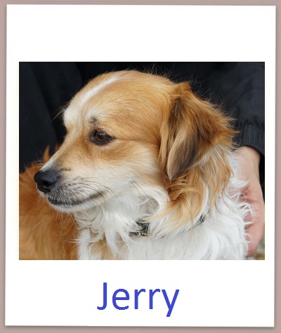 Jerry prof