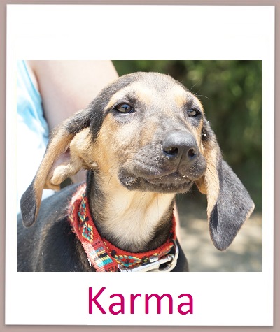 Karma prof