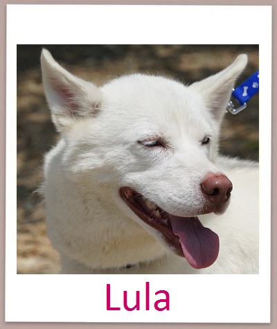 Lula prof