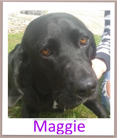 Maggie prof