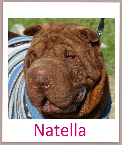 Natella prof