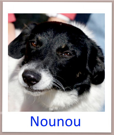 Nounou prof n