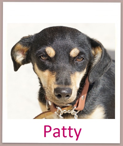 Patty prof